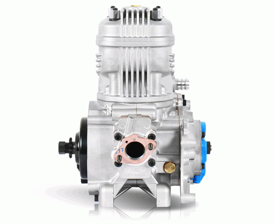 Bild 2 - Motor IAME X30 junior    Modell 2023
