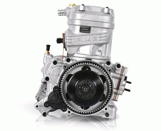 Bild 6 - Motor IAME X30 junior    Modell 2023