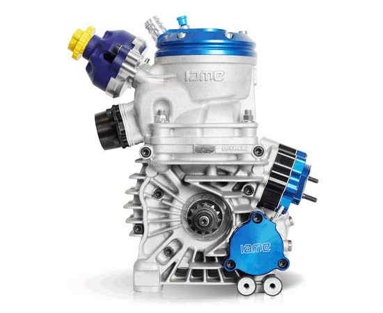 Bild 5 - Motor IAME REEDSTER V  Klasse: OK