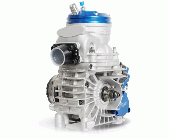 Bild 4 - Motor IAME REEDSTER V  Klasse: OK-J