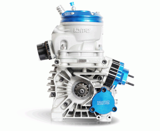 Bild 6 - Motor IAME REEDSTER V  Klasse: OK-J