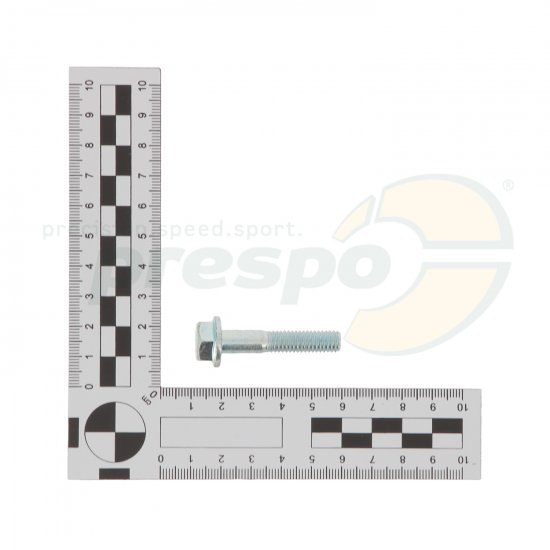 Bild 2 - Schraube mit Bund fr Lagerschale CRG  M8x38mm