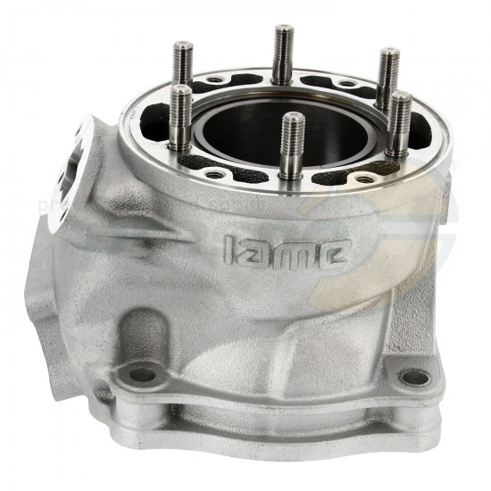 Bild 2 - Nr. 25A Zylinder - IAME REEDSTER V - OK 
