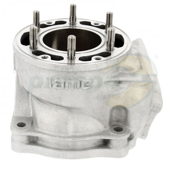 Bild 6 - Nr. 19A Zylinder - IAME Screamer IV 2023