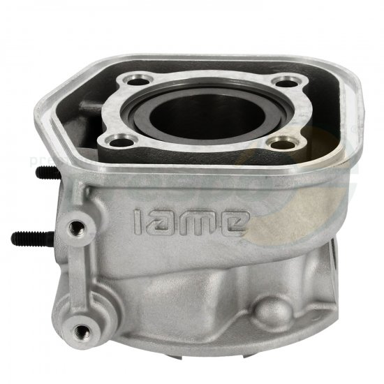 Bild 2 - Nr. 14 Zylinder - IAME Water Swift
