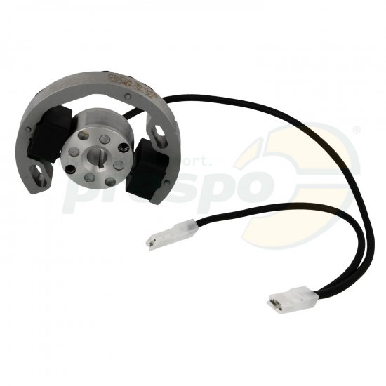 Bild 2 - Nr. 276A Zndung Selettra (Rotor + Stator) - IAME Water Swift