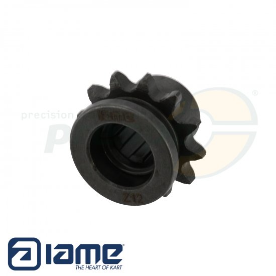 Bild 3 - Nr. 63 Ritzel ''Z12'' - IAME REEDSTER V