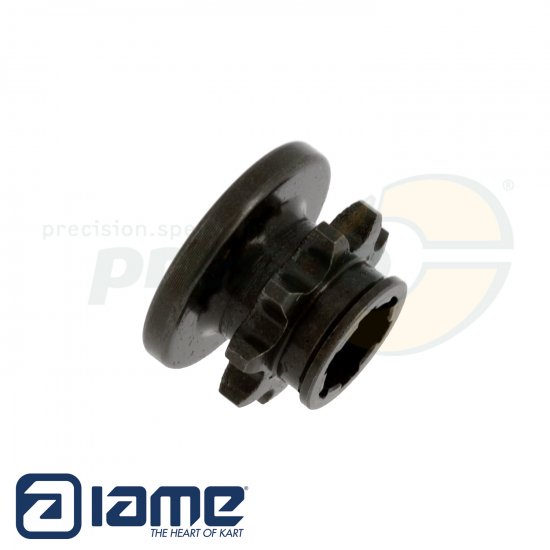 Bild 2 - Ritzel IAME REEDSTER IV/V  Z 9