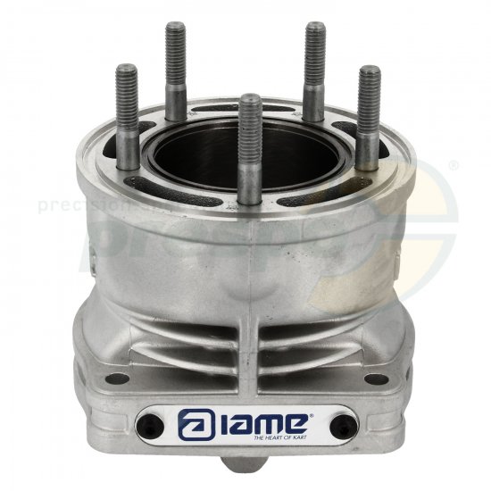 Bild 4 - Nr. 19A Zylinder - IAME X30 Super