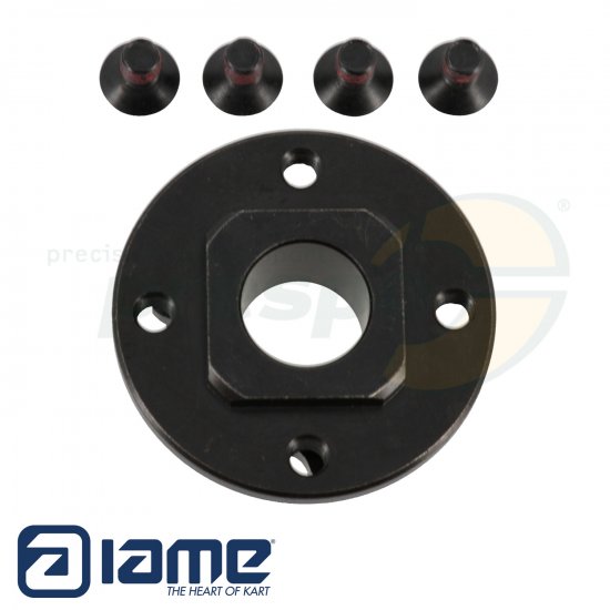 Bild 2 - Nr. 113A Ritzel ''Z13'' IAME - Kupplung IAME S125