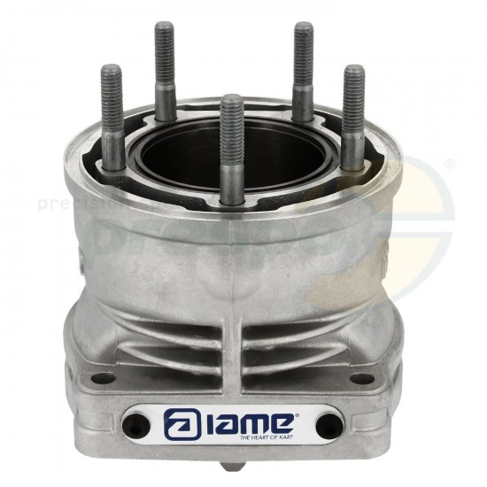 Bild 4 - Nr. 19A Zylinder IAME X30 Super Shifter