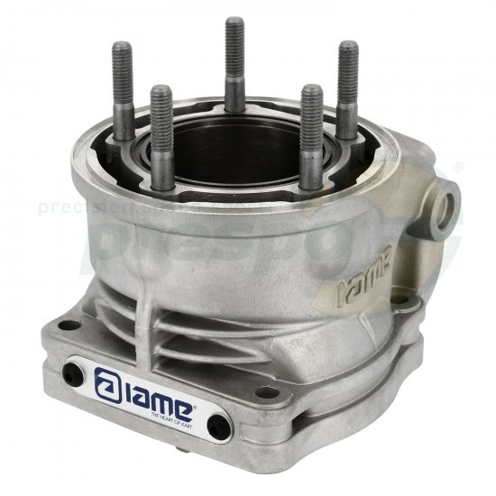 Bild 5 - Nr. 19A Zylinder IAME X30 Super Shifter