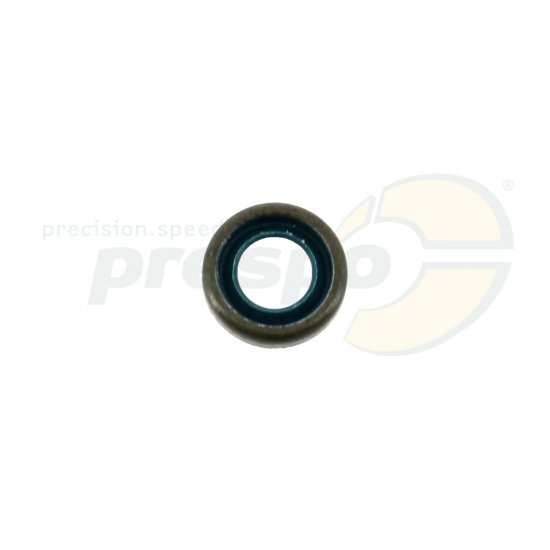 Bild 2 - Nr. 612 Simmerring Primrwelle IAME Screamer III