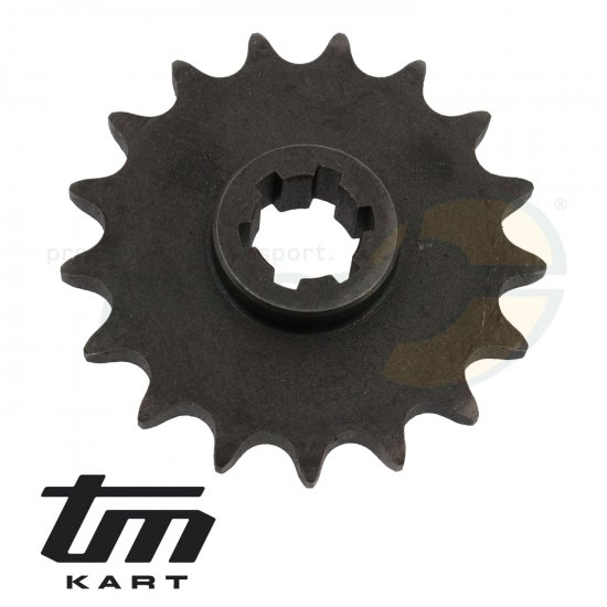 Bild 2 - Bild 37 Ritzel TM  KZ10 - Z 17