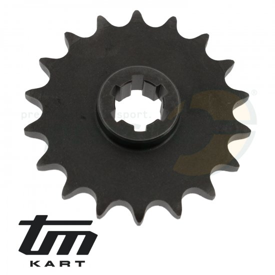 Bild 2 - Bild 37 Ritzel TM  KZ10 - Z 18