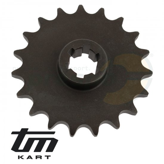 Bild 2 - Bild 10 Ritzel TM  KZ R2 - Z 19