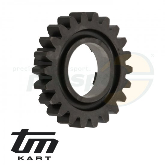 Bild 2 - Bild 05 Gangrad Primrwelle 5.Gang - TM KZ R1