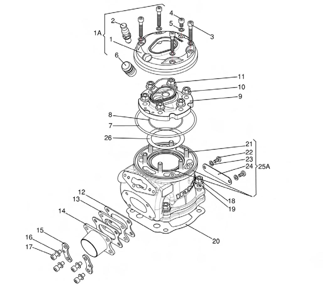 Motoren IAME Ersatzteile IAME REEDSTER IV,Zylinder IAME REEDSTER IV