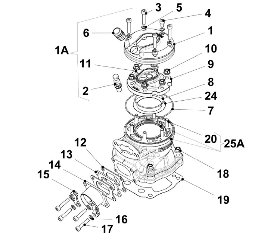 Motoren IAME Ersatzteile IAME REEDSTER V,Zylinder IAME REEDSTER V