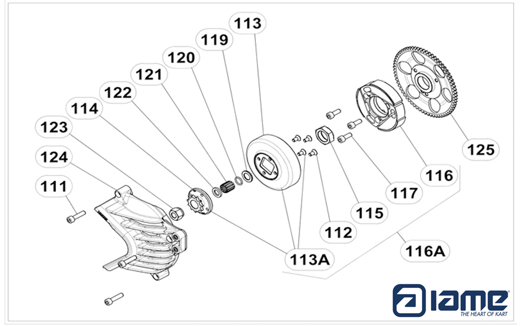 Motoren IAME Ersatzteile IAME S125,Kupplung IAME S125