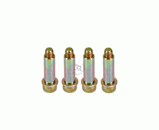 Bild 1 - Schraube mit Schaft fr Bremsbelag  (M6 x 30mm)  KIT