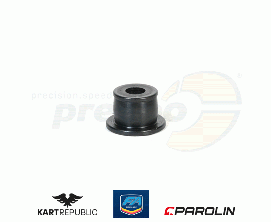 Bild 1 - Fhrungsbolzen Bremsscheibe hinten   KR/FA-KART      Modell: PAROLIN