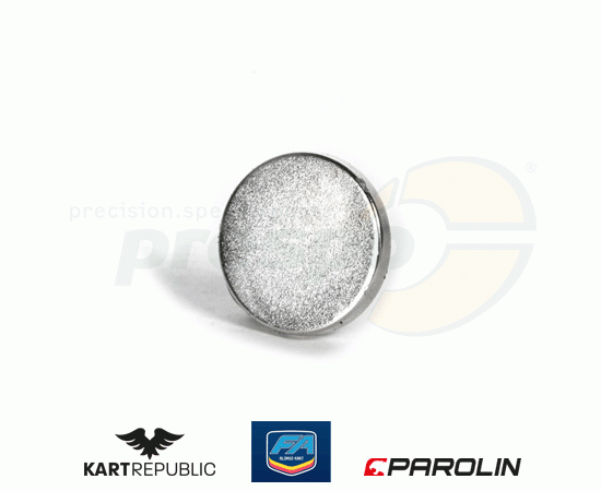 Bild 1 - Magnet fr Kolben Bremssattel hinten   KR/FA-KART   System: PAROLIN