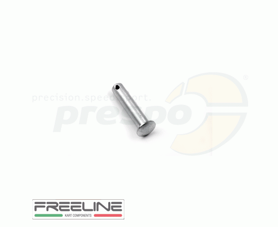 Bild 1 - Bild 14 Bolzen fr Umlenkhebel Hauptbremszylinder  FREE-LINE   Modell: 22SRR 