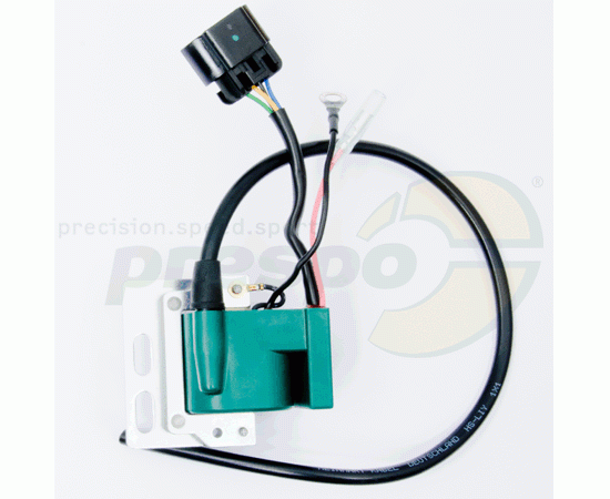 Bild 1 - Nr. 273 Zndspule PVL grn - IAME REEDSTER IV - OK