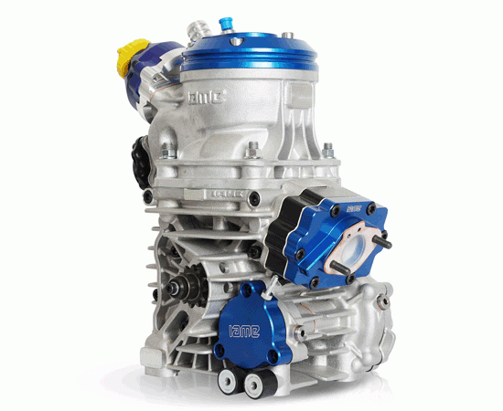 Bild 1 - Motor IAME REEDSTER V  Klasse: OK