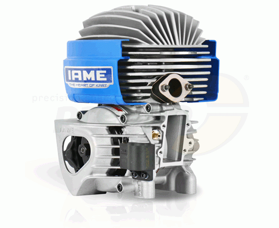 Bild 1 - Motor IAME Mini Pro-M           Hubraum: 60ccm