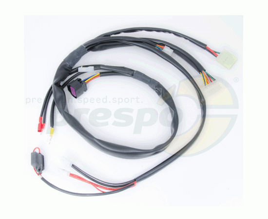 Bild 1 - Nr. 299 Kabelbaum Modell 2013 -  IAME X30