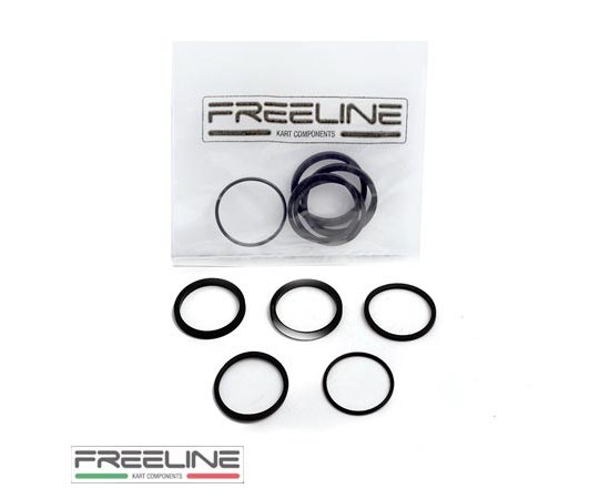 Bild 1 - Bild 14 Dichtungssatz fr 2-Kolben Bremssattel   FREE-LINE     Modell:  RR-132X2  (OK)