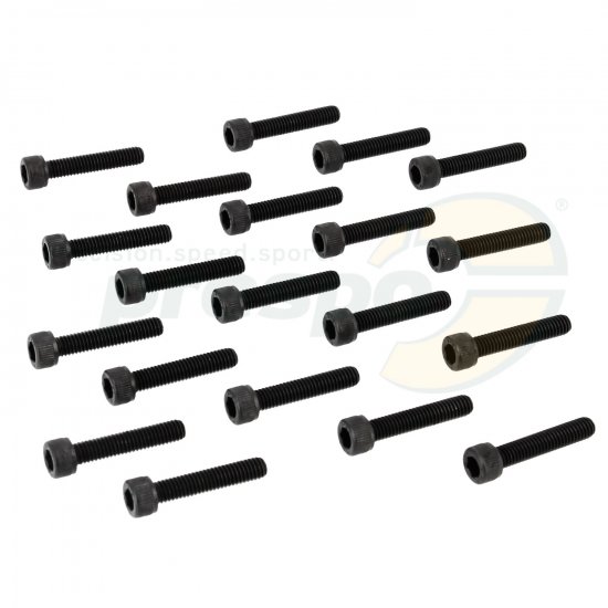 Bild 1 - Nr. 134 Schraube M6 x 30 mm 20 Pack - Ausgleichswelle IAME X30 Super