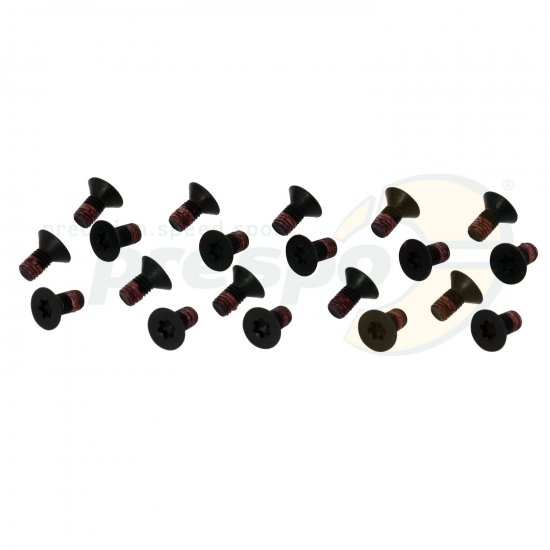 Bild 1 - Nr. 64 Schraube M5 x10 mm TORX 20 Pack - Kurbelgehuse IAME Screamer III