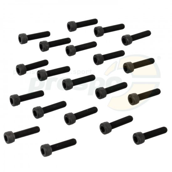 Bild 1 - Nr. 270 Schraube M5 x 20 mm - IAME Leopard