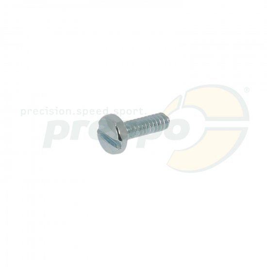Bild 1 - Nr. 20 - Schlitzschraube Filterdeckel - Tillotson HW-27A