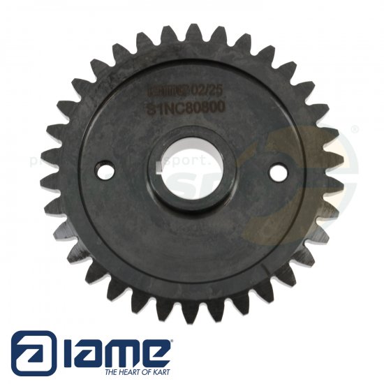 Bild 1 - Nr. 48 Ausgleichsrad fr Ausgleichswelle - IAME S125