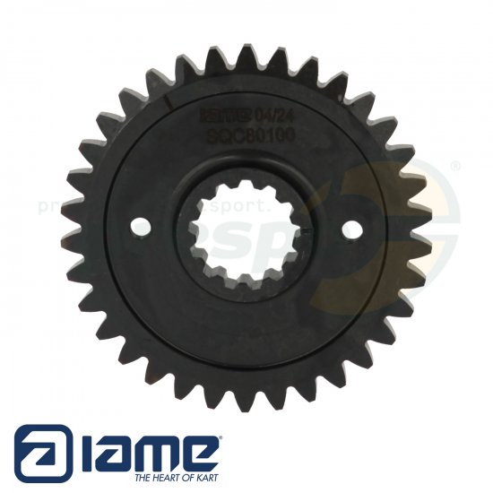Bild 1 - Nr. 49 Antriebsrad fr Ausgleichswelle - IAME S125