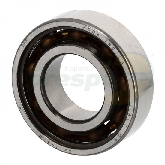 Bild 1 - Nr. 129 Lager 6004 TN9 C4 fr Ausgleichswelle - IAME REEDSTER IV