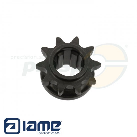 Bild 1 - Nr. 63 Ritzel ''Z10'' - IAME REEDSTER V
