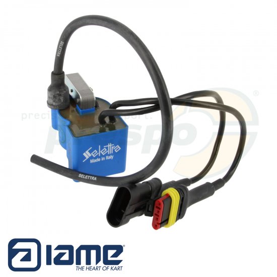 Bild 1 - Nr. 273 Zndspule Selettra  IAME SUPER SHIFTER  Modell Z1