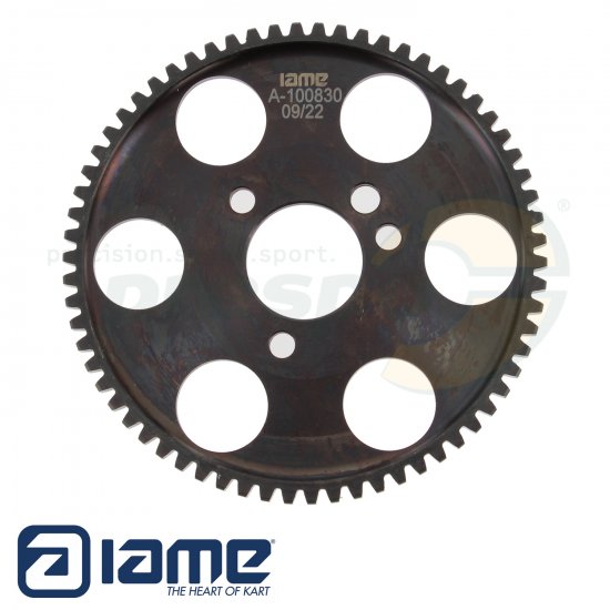 Bild 1 - Nr. 110 Starter Zahnrad 66 Zhne - Kupplung IAME Leopard