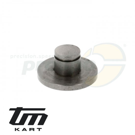 Bild 1 - Bild 07 Druckpilz TM KZ10C