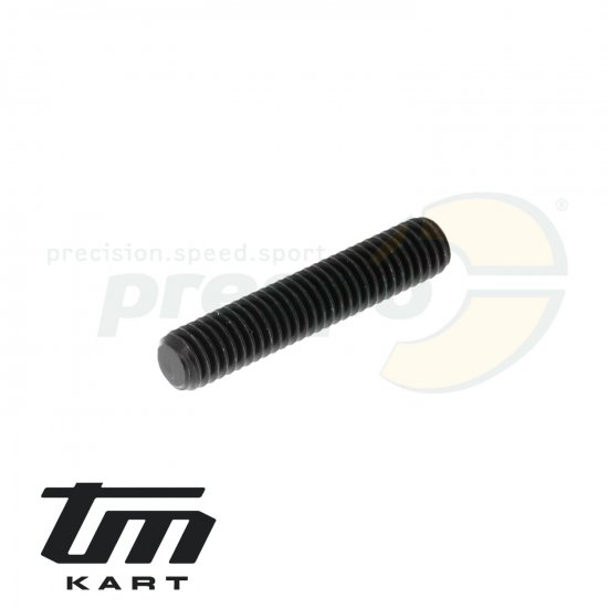 Bild 1 - Bild 23 Madenschraube Kupplung TM KZ R2 - M6x30mm
