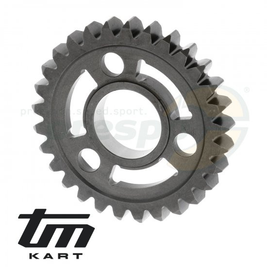 Bild 1 - Bild 08 Gangrad Schaltwelle 2. Gang - TM KZ10B  Modell: 2013
