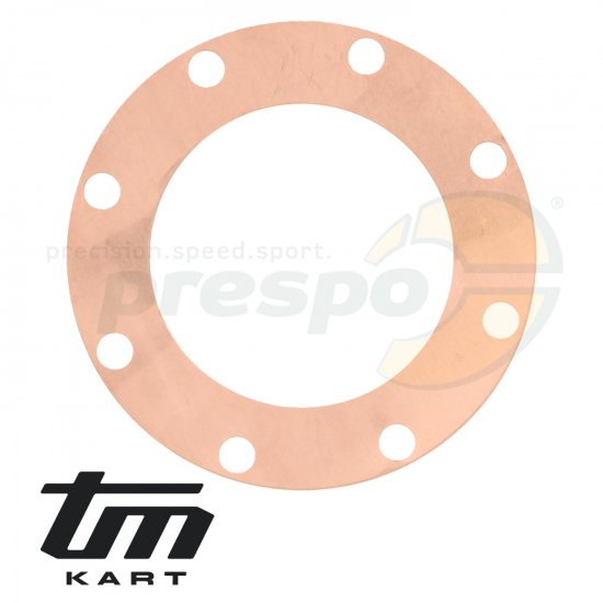 Bild 1 - Bild 06 Dichtung Zylinderkopf  TM   KZ R1 - 0.10 mm