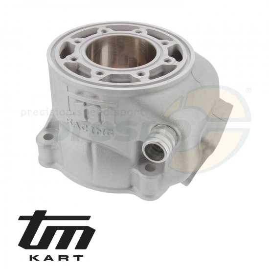 Bild 1 - Bild 09 Zylinder TM KZ R1