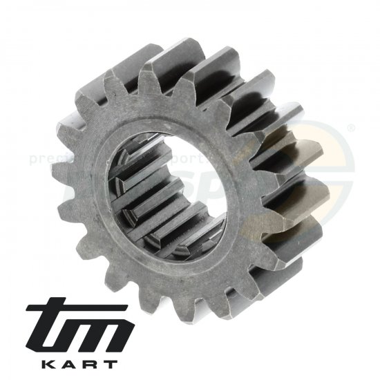 Bild 1 - Bild 02 Primrzahnrad Kurbelwelle TM KZ R2