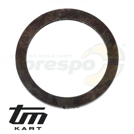 Bild 1 - Bild 06 Anlaufscheibe Primrwelle TM KZ R1
